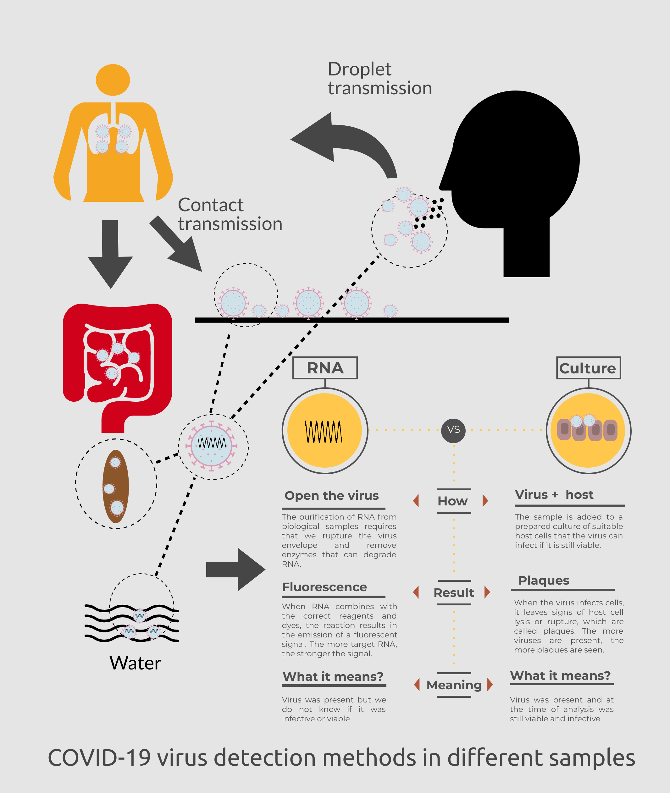 Figure 2. COVID-19 Detection.png