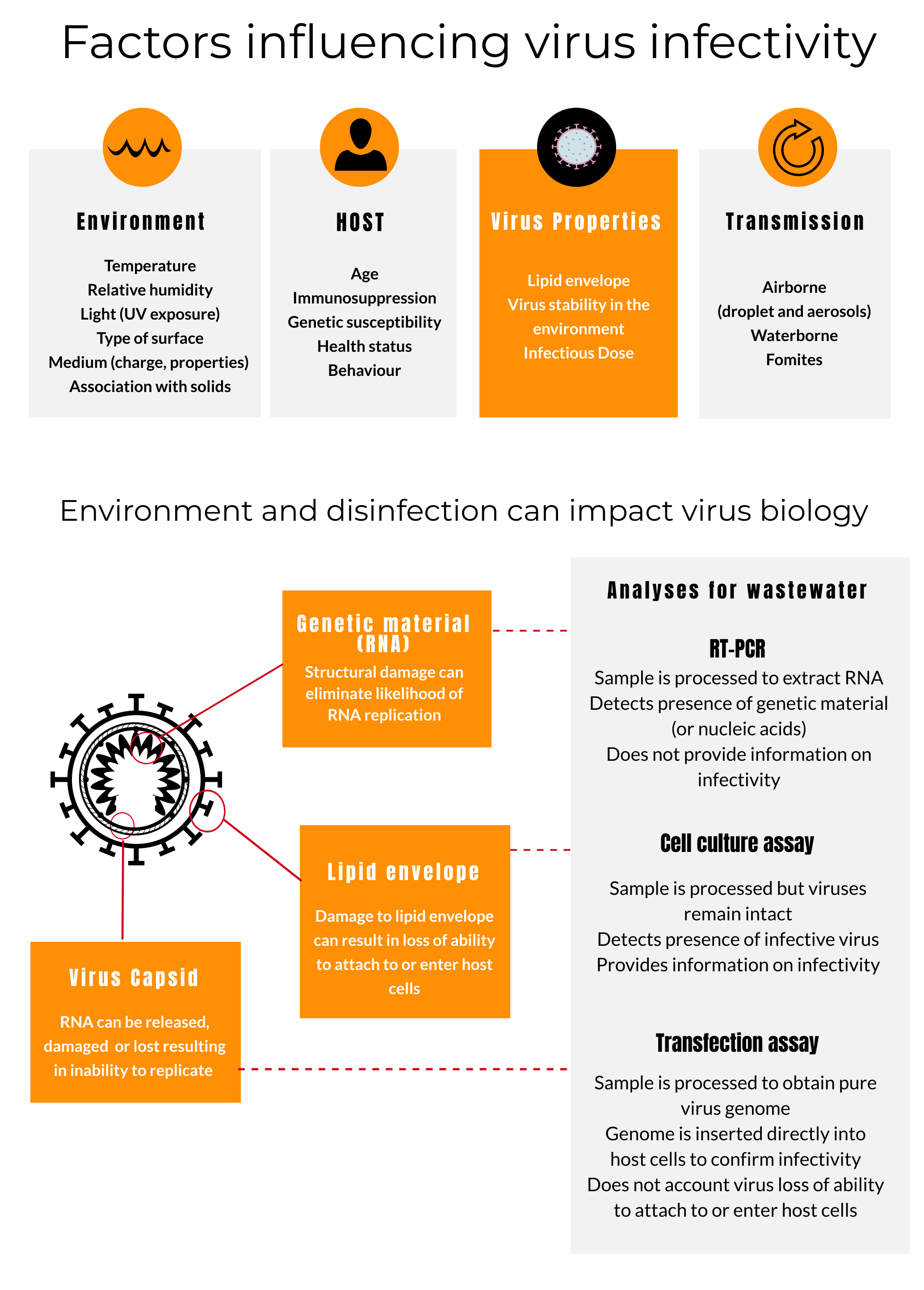 Figure 3 Infectivity and disinfection.png